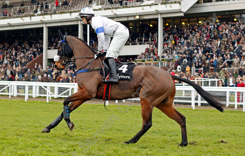 Ollie-Vaar-0001 
 OLLIE VAAR (Liam Heard) Cheltenham 1 Jan 2018 - Pic Steven Cargill / Racingfotos.com