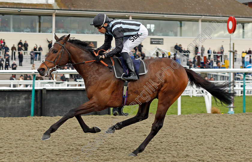 Fancy-Man-0007 
 FANCY MAN (Sean Levey) wins The Betway Winter Derby Trial Stakes
Lingfield 5 Feb 2022 - Pic Steven Cargill / Racingfotos.com