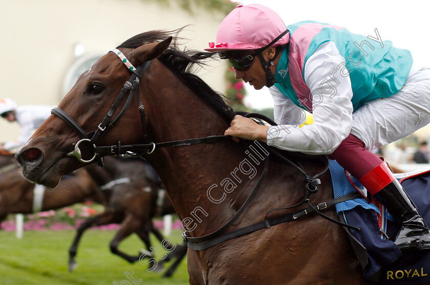 Calyx-0006 
 CALYX (Frankie Dettori) wins The Coventry Stakes
Royal Ascot 19 Jun 2018 - Pic Steven Cargill / Racingfotos.com