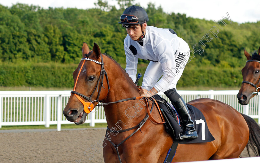 Glenister 
 GLENISTER (Thore Hammer Hansen)
Chelmsford 7 Jun 2022 - Pic Steven Cargill / Racingfotos.com