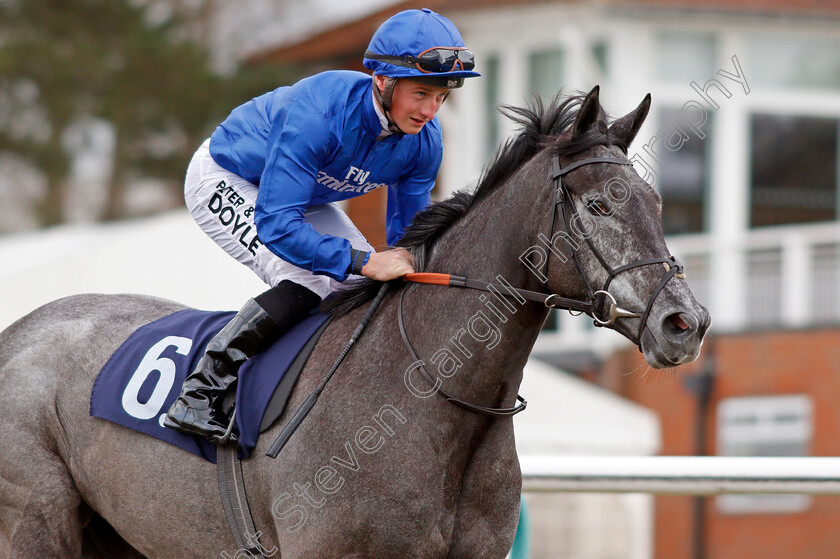 Broderie-0002 
 BRODERIE (Tom Marquand) winner of The 32Red Casino Novice Stakes Lingfield 2 Feb 2018 - Pic Steven Cargill / Racingfotos.com