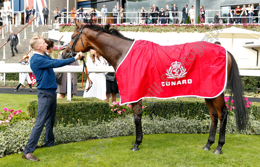 Ripp-Orf-0006 
 RIPP ORF after The Cunard Handicap
Ascot 8 Sep 2018 - Pic Steven Cargill / Racingfotos.com