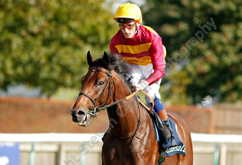 Claim-The-Crown-0001 
 CLAIM THE CROWN (David Egan)
Newmarket 23 Sep 2021 - Pic Steven Cargill / Racingfotos.com