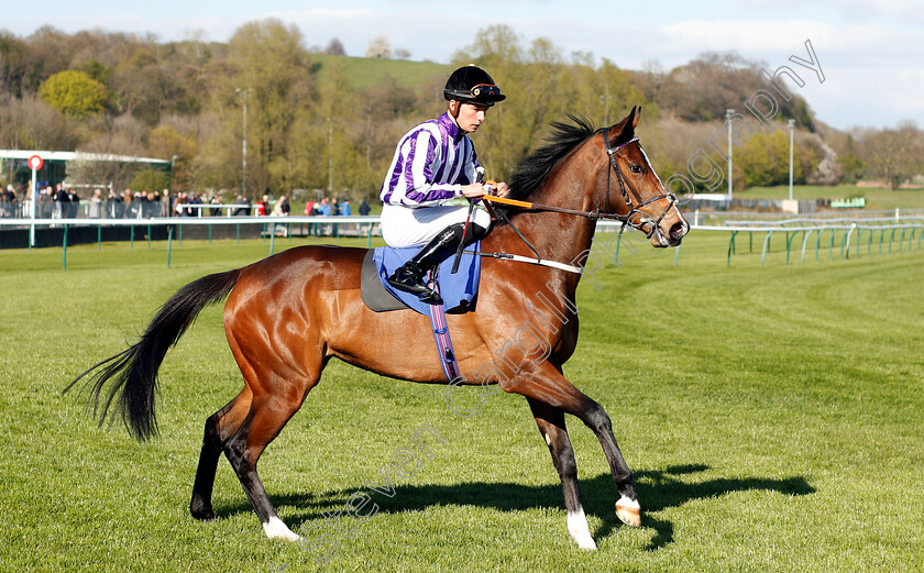 She s-Apples-0001 
 SHE'S APPLES (Jason Watson)
Nottingham 10 Apr 2019 - Pic Steven Cargill / Racingfotos.com