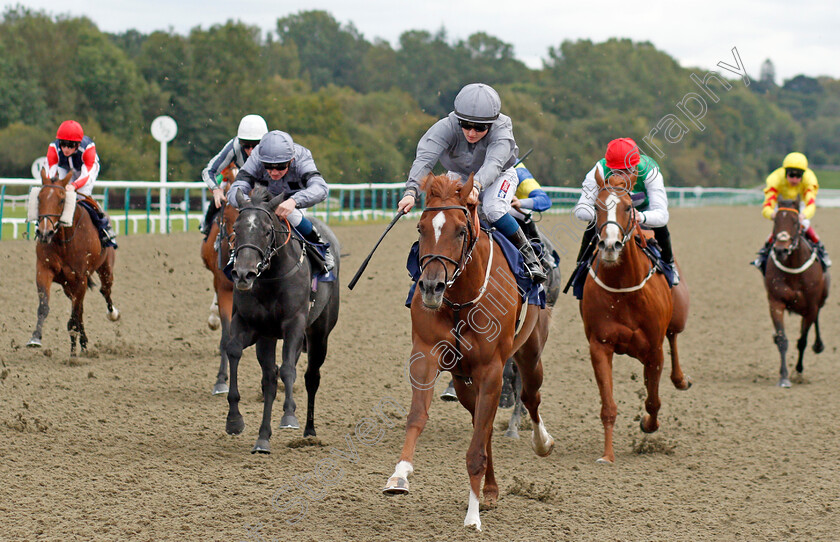 Rapture-0002 
 RAPTURE (Hollie Doyle) wins The Download The Star Sports App Now! Fillies Handicap
Lingfield 3 Oct 2019 - Pic Steven Cargill / Racingfotos.com