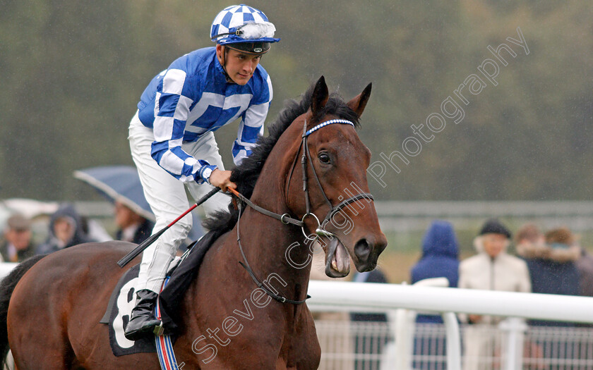 Selsey-Sizzler-0001 
 SELSEY SIZZLER (Pierre-Louis Jamin)
Goodwood 25 Sep 2019 - Pic Steven Cargill / Racingfotos.com