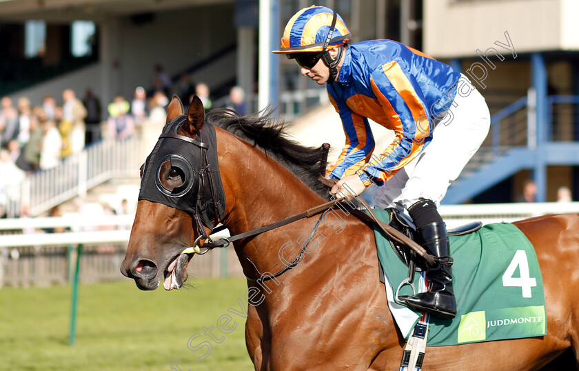 Gossamer-Wings-0001 
 GOSSAMER WINGS (Wayne Lordan)
Newmarket 29 Sep 2018 - Pic Steven Cargill / Racingfotos.com