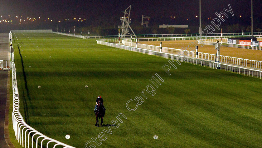 Red-Do-Oro-0001 
 REY DE ORO training for the Dubai Sheema Classic
Meydan 27 Mar 2019 - Pic Steven Cargill / Racingfotos.com