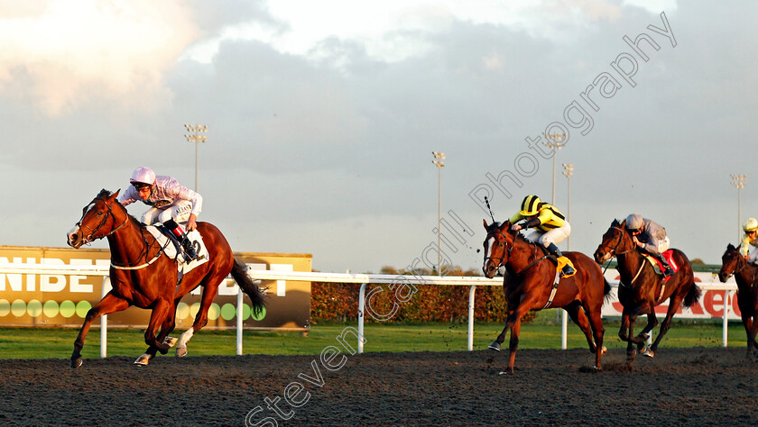 Aratus-0002 
 ARATUS (Adam Kirby) wins The British EBF Future Stayers Maiden Stakes
Kempton 2 Nov 2020 - Pic Steven Cargill / Racingfotos.com