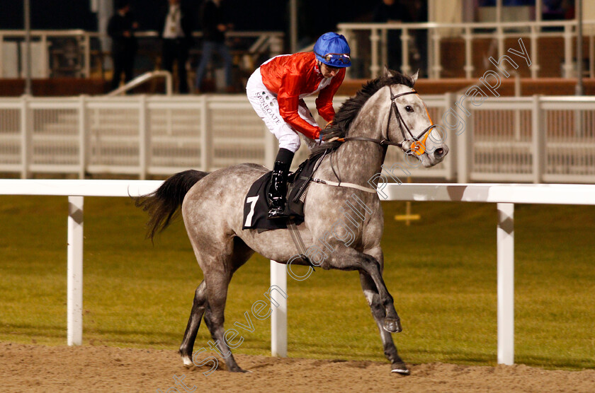 Moon-Song-0001 
 MOON SONG (Hector Crouch) Chelmsford 1 Dec 2017 - Pic Steven Cargill / Racingfotos.com