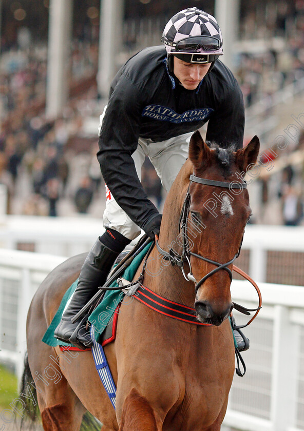 Shang-Tang-0001 
 SHANG TANG (Adam Wedge)
Cheltenham 13 Dec 2019 - Pic Steven Cargill / Racingfotos.com