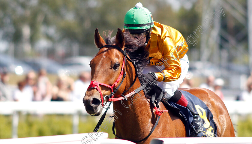 Mindbender-0002 
 MINDBENDER (Sophie Ralston) wins The Women Jockeys' World Cup Leg3
Bro Park Sweden 30 Jun 2019 - Pic Steven Cargill / Racingfotos.com