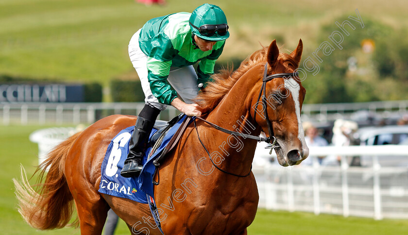 Gallantly-0001 
 GALLANTLY (Ryan Moore)
Goodwood 31 Jul 2024 - Pic Steven Cargill / Racingfotos.com