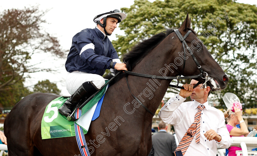 Latrobe-0002 
 LATROBE (Wayne Lordan)
York 22 Aug 2018 - Pic Steven Cargill / Racingfotos.com