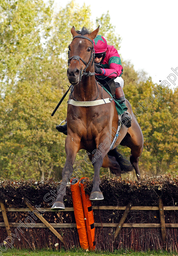 Irish-Sovereign-0001 
 IRISH SOVEREIGN (James Best)
Fakenham 16 Oct 2020 - Pic Steven Cargill / Racingfotos.com