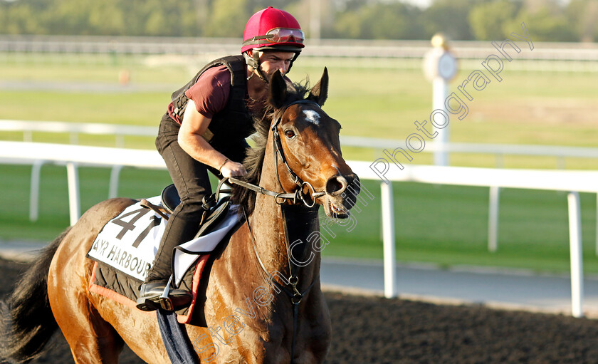 Ayr-Harbour-0002 
 AYR HARBOUR training at the Dubai World Cup Carnival
Meydan 5 Jan 2023 - Pic Steven Cargill / Racingfotos.com