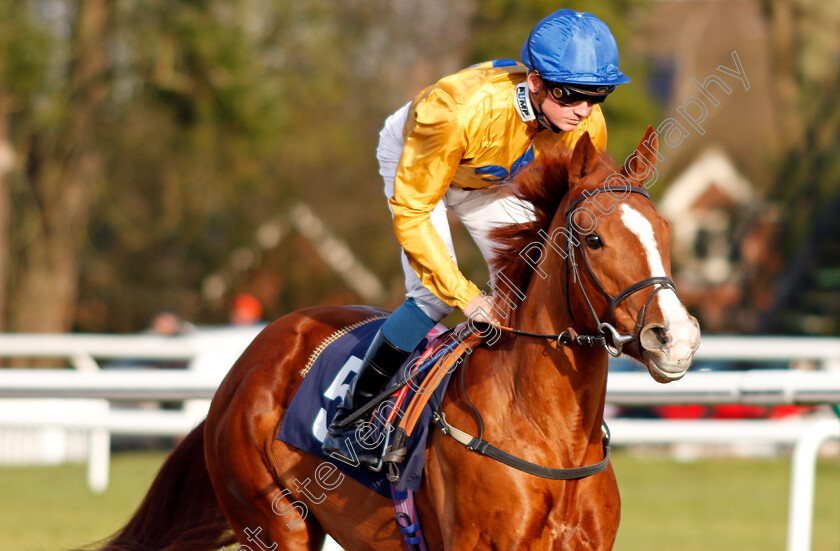 Ever-Amber-0002 
 EVER AMBER (Rob Hornby)
Lingfield 18 Dec 2019 - Pic Steven Cargill / Racingfotos.com