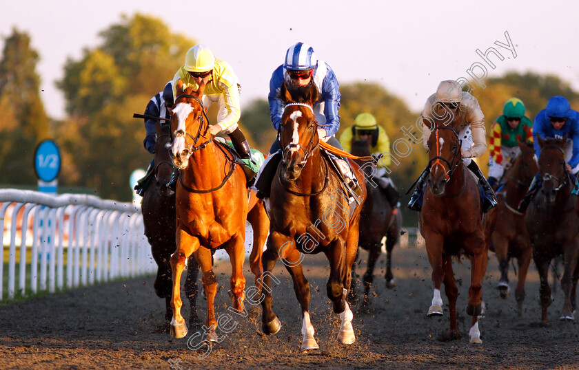 Alfarqad-0005 
 ALFARQAD (centre, Dane O'Neill) beats RING DANCER (left) in The 100% Profit Boost At 32Redsport.com Novice Stakes Div1
Kempton 27 Sep 2018 - Pic Steven Cargill / Racingfotos.com