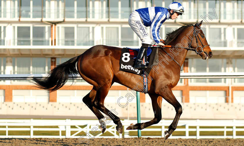 Main-Street-0001 
 MAIN STREET (David Probert)
Lingfield 2 Feb 2019 - Pic Steven Cargill / Racingfotos.com