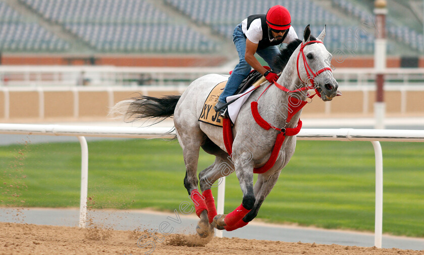 X-Y-Jet-0002 
 X Y JET training for the Dubai Golden Shaheen
Meydan 27 Mar 2019 - Pic Steven Cargill / Racingfotos.com