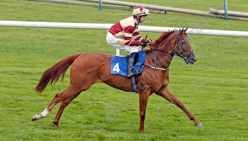 Lunar-Orbit-0001 
 LUNAR ORBIT (Charles Bishop)
Leicester 10 Sep 2024 - Pic Steven Cargill / Racingfotos.com