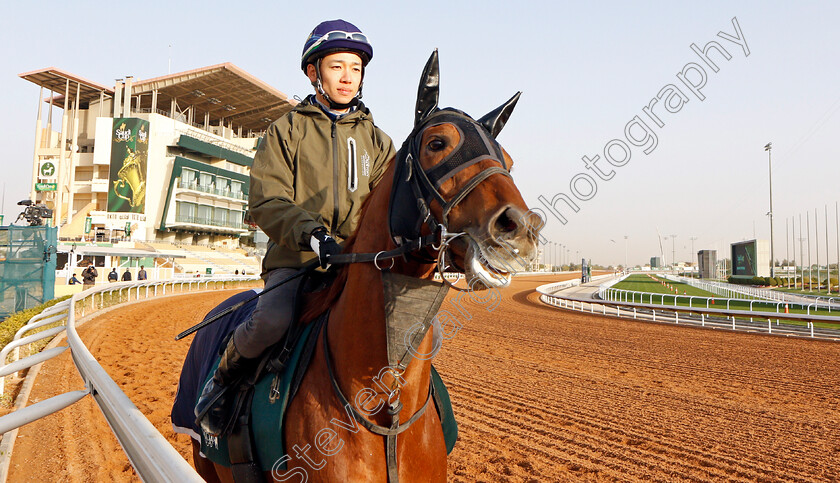 T-O-Keynes-0001 
 T O KEYNES training for the Saudi Cup
King Abdulaziz Racetrack, Riyadh, Saudi Arabia 24 Feb 2022 - Pic Steven Cargill / Racingfotos.com