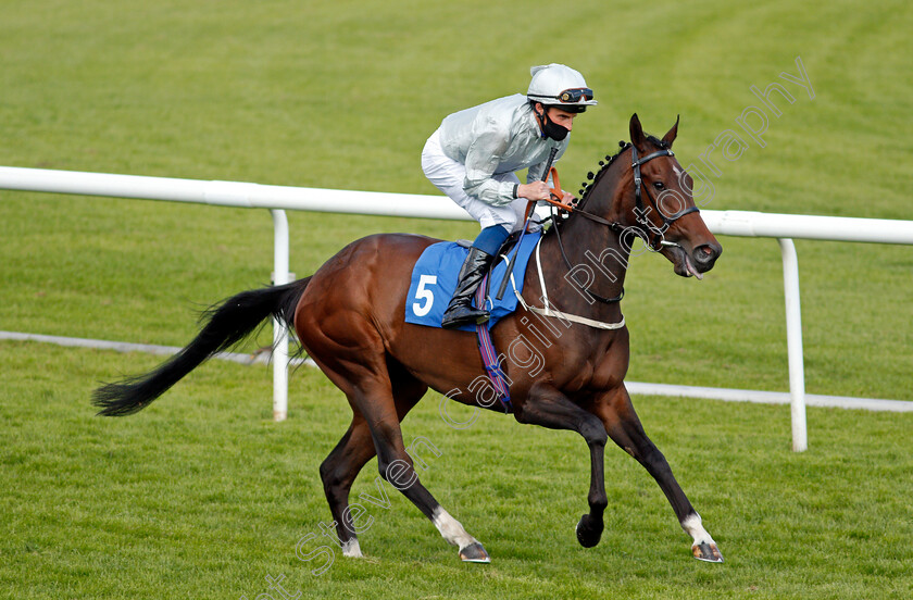 Wootton-Creek-0001 
 WOOTTON CREEK (William Buick)
Leicester 1 Jun 2021 - Pic Steven Cargill / Racingfotos.com