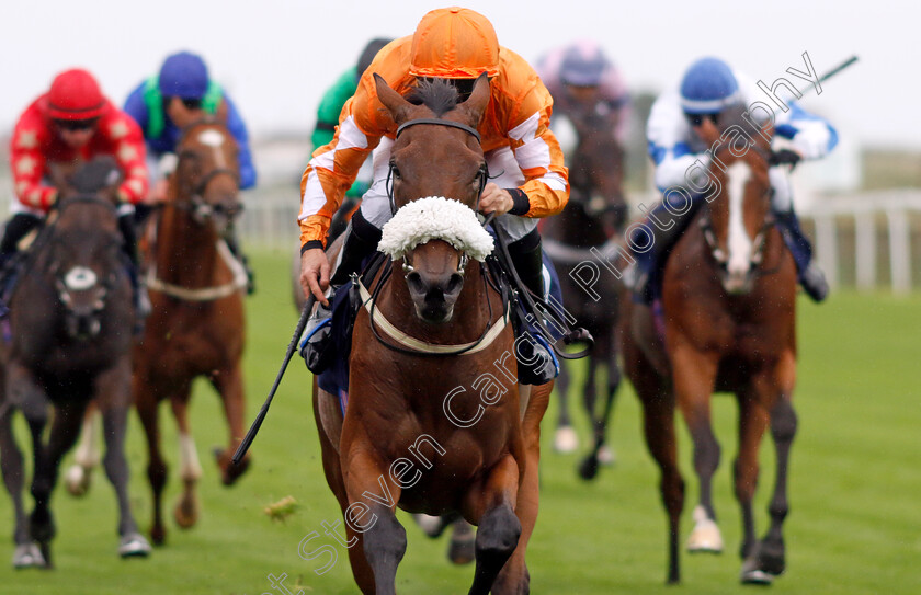 Alfred-0003 
 ALFRED (John Egan) wins The AKS Skip Hire Services Nursery
Yarmouth 19 Sep 2023 - Pic Steven Cargill / Racingfotos.com