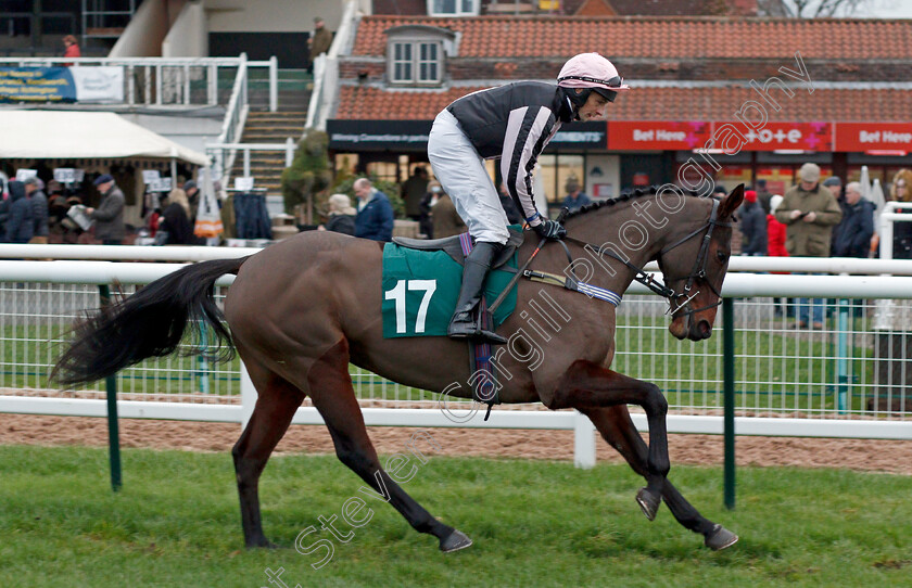 Start-Point 
 START POINT (James Best)
Warwick 9 Dec 2021 - Pic Steven Cargill / Racingfotos.com