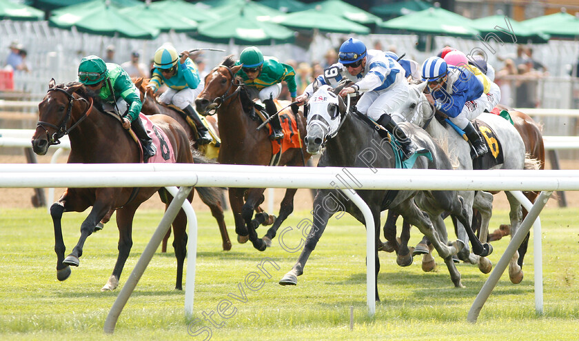 Raging-Bull-0001 
 RAGING BULL (Joel Rosario) wins The Allowance Optional Claimer
Belmont Park 8 Jun 2018 - Pic Steven Cargill / Racingfotos.com