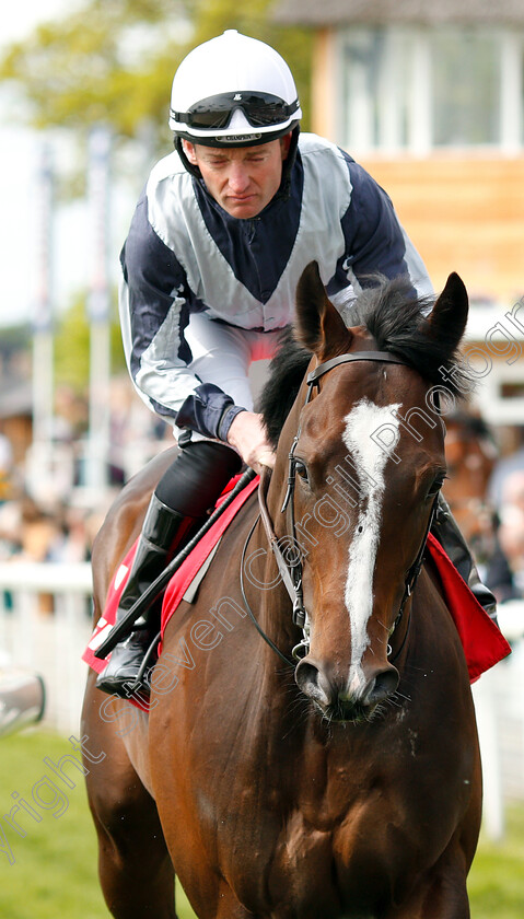 Zabriskie-0001 
 ZABRISKIE (Seamie Heffernan)
York 17 May 2018 - Pic Steven Cargill / Racingfotos.com