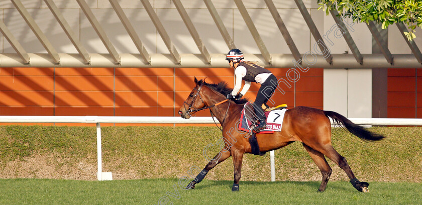 Rodrigo-Diaz-0001 
 RODRIGO DIAZ training for the Dubai Gold Cup
Meydan, Dubai, 23 Mar 2022 - Pic Steven Cargill / Racingfotos.com