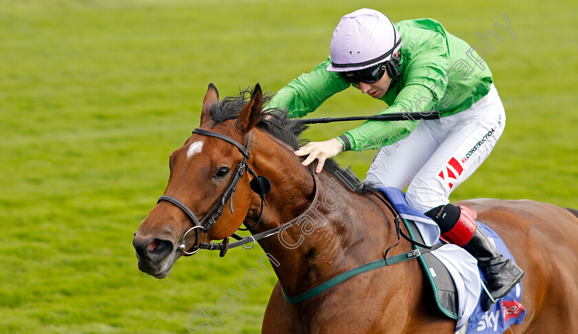 Breege-0001 
 BREEGE (Colin Keane) wins The Sky Bet City Of York Stakes
York 24 Aug 2024 - Pic Steven Cargill / Racingfotos.com