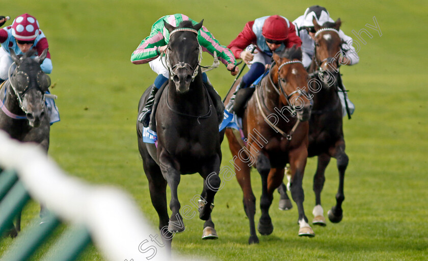 Pogo-0002 
 POGO (William Buick) wins The Thoroughbred Industry Employee Awards Challenge Stakes
Newmarket 7 Oct 2022 - Pic Steven Cargill / Racingfotos.com