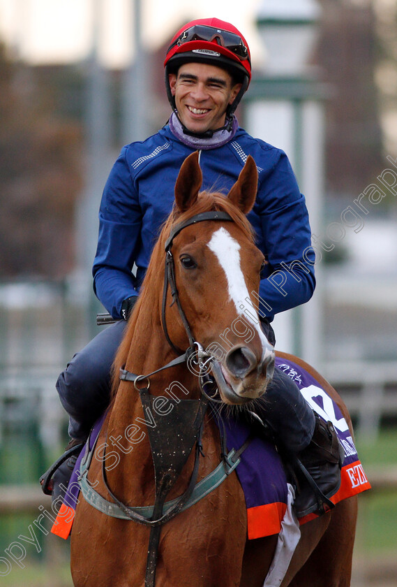 Eziyra-0003 
 EZIYRA exercising ahead of The Breeders' Cup Filly & Mare Turf
Churchill Downs USA 30 Oct 2018 - Pic Steven Cargill / Racingfotos.com