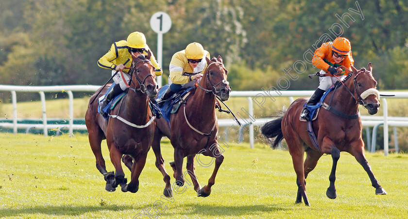 Wise-Words-0002 
 WISE WORDS (left, P J McDonald) beats CORINTHIA KNIGHT (centre) and FREE LOVE (right) in The EBF Stallions Prestwold Conditions Stakes
Leicester 10 Sep 2019 - Pic Steven Cargill / Racingfotos.com