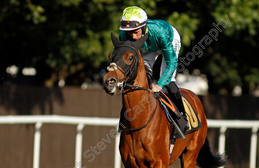 Skibo-0003 
 SKIBO (Rossa Ryan)
Newmarket 9 Aug 2024 - Pic Steven Cargill / Racingfotos.com