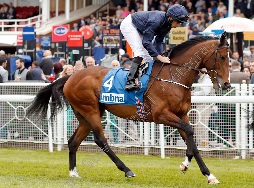 Hunting-Horn-0001 
 HUNTING HORN (Ryan Moore) 
Chester 9 May 2018 - Pic Steven Cargill / Racingfotos.com