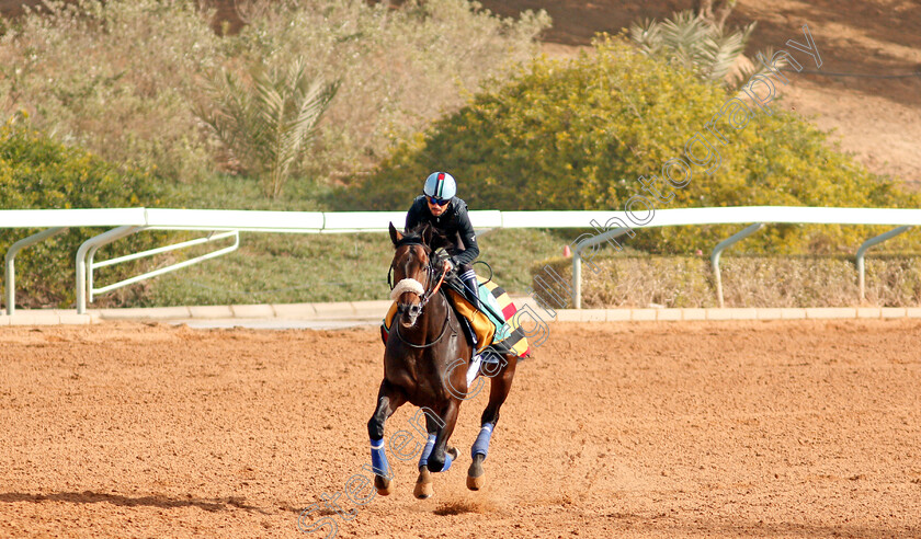 Gronkowski-0002 
 GRONKOWSKI preparing for The Saudi Cup
Riyadh Racetrack, Kingdom Of Saudi Arabia, 27 Feb 2020 - Pic Steven Cargill / Racingfotos.com