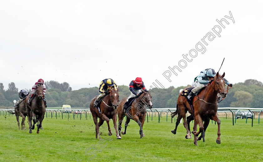 Stressfree-0005 
 STRESSFREE (Jason Watson) wins The Trustatrader Approved And Reviewed Trades People Handicap
Nottingham 11 Oct 2023 - Pic Steven Cargill / Racingfotos.com