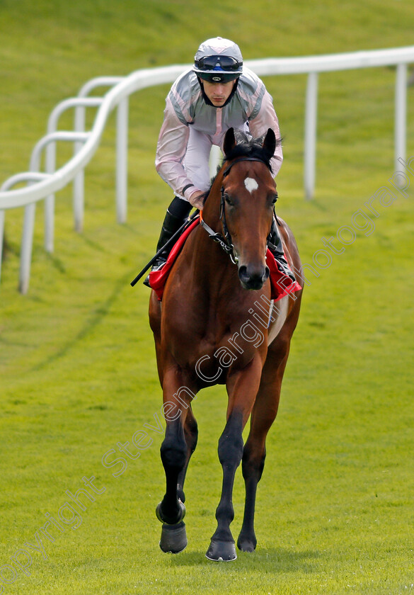 Box-To-Box-0001 
 BOX TO BOX (Richard Kingscote)
Sandown 2 Jul 2021 - Pic Steven Cargill / Racingfotos.com