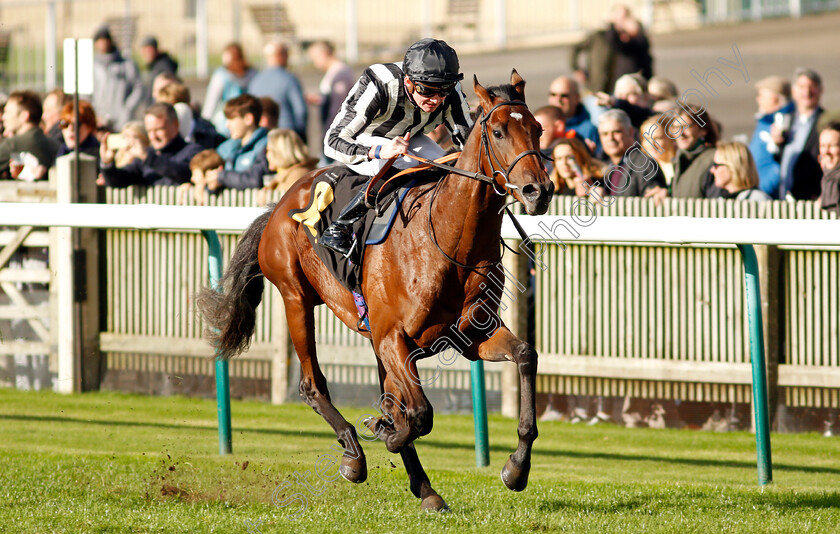 High-Fibre-0004 
 HIGH FIBRE (Rob Hornby) wins The 888sport What's Your Thinking Nursery
Newmarket 30 Oct 2021 - Pic Steven Cargill / Racingfotos.com