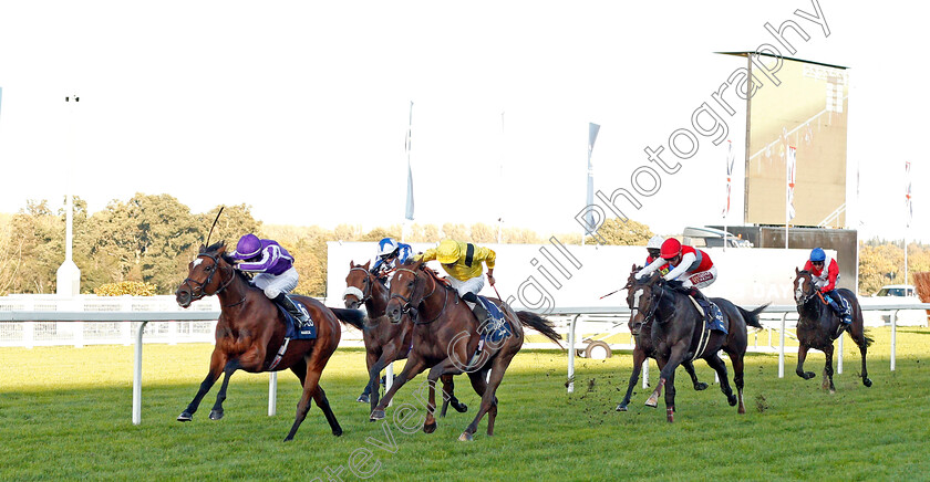 Magical-0001 
 MAGICAL (Donnacha O'Brien) beats ADDEYBB (right) in The Qipco Champion Stakes
Ascot 19 Oct 2019 - Pic Steven Cargill / Racingfotos.com