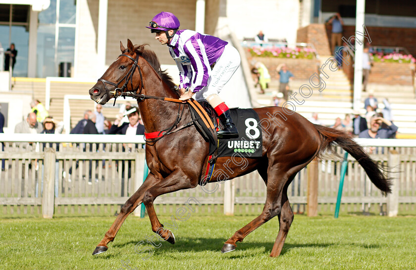 Perotto-0001 
 PEROTTO (Andrea Atzeni)
Newmarket 24 Sep 2021 - Pic Steven Cargill / Racingfotos.com