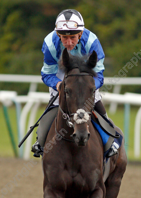 Bobby-Biscuit-0001 
 BOBBY BISCUIT (John Egan) winner of The Download The Star Sports App Now! Handicap
Lingfield 3 Oct 2019 - Pic Steven Cargill / Racingfotos.com