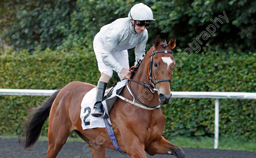 Brazilian-Beach-0001 
 BRAZILIAN BEACH (Joe Fanning)
Kempton 3 Sep 2021 - Pic Steven Cargill / Racingfotos.com