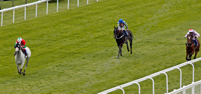 Fast-And-Hot-0001 
 FAST AND HOT (Thore Hammer Hansen) wins The Betfred TV Handicap Salisbury 29 Apr 2018 - Pic Steven Cargill / Racingfotos.com