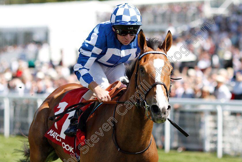 Soto-Sizzler-0004 
 SOTO SIZZLER (Jimmy Quinn) wins The Move Over To Matchbook Handicap
Goodwood 1 Aug 2018 - Pic Steven Cargill / Racingfotos.com