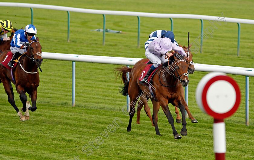 Il-Bandito-0002 
 IL BANDITO (William Buick) wins The Betway Casino Handicap
Haydock 29 May 2021 - Pic Steven Cargill / Racingfotos.com