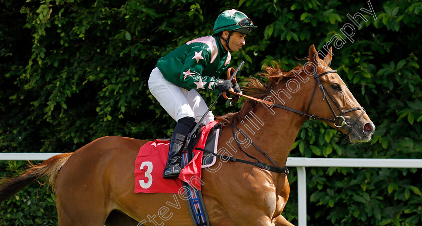 Starspangledsammy-0001 
 STARSPANGLEDSAMMY (Silvestre De Sousa)
Sandown 15 Jun 2024 - Pic Steven Cargill / Racingfotos.com